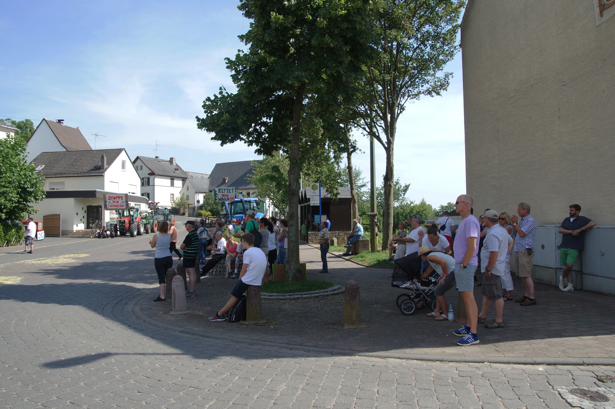 Stephanshausen DEMO Windwahn-20140719DSC08251.jpg